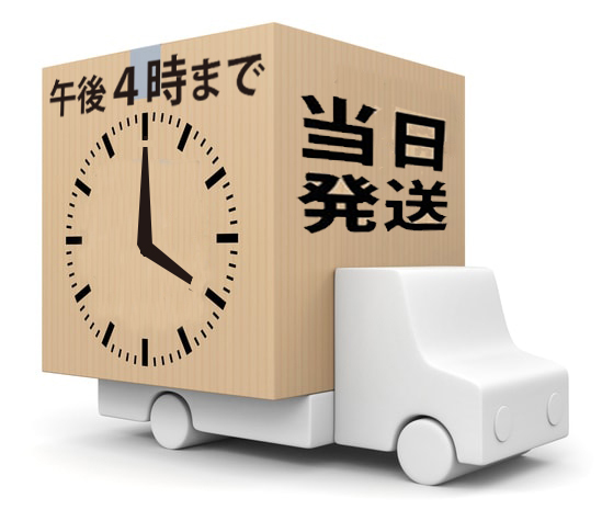 16時までご注文は当日発送